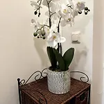 Apartmán Ullanlinna Unique In The Heart Of For 2-4 Persons - Free Wifi *