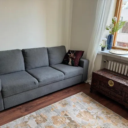 公寓 Ullanlinna Unique In The Heart Of For 2-4 Persons - Free Wifi 赫尔辛基