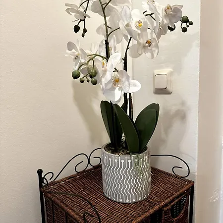 公寓 Ullanlinna Unique In The Heart Of For 2-4 Persons - Free Wifi *