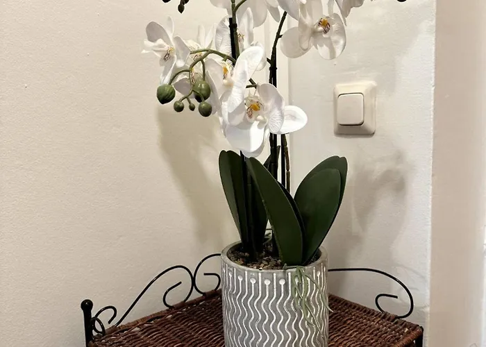 Appartement Ullanlinna Unique In The Heart Of For 2-4 Persons - Free Wifi *